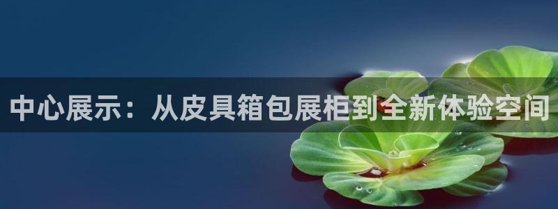 专业辉达娱乐在线游戏