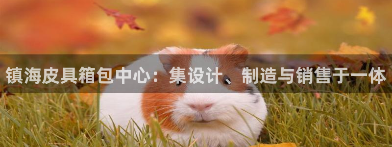 辉达娱乐公司