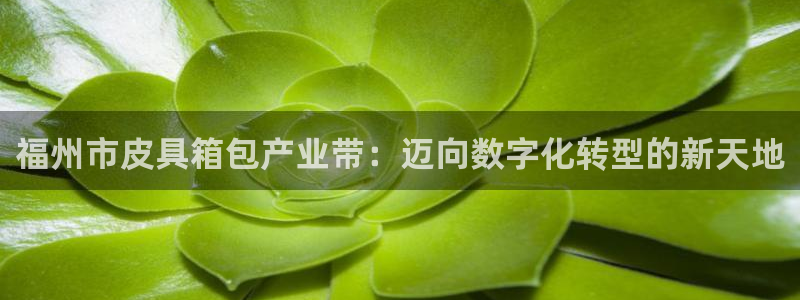 辉达娱乐加q75775稳定