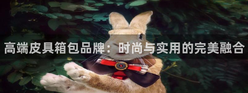 辉达娱乐福彩