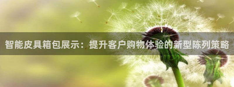 代理辉达娱乐平台