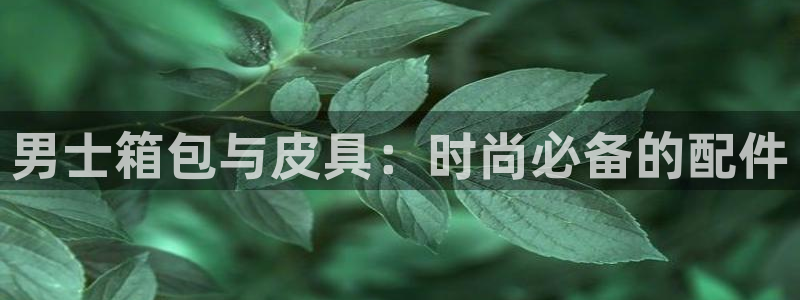 辉达娱乐加q75775