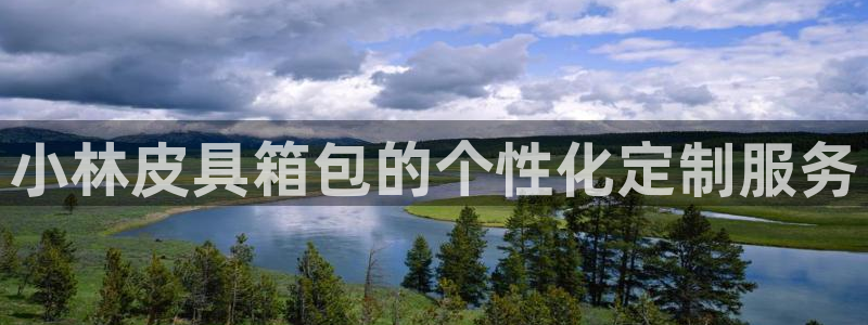 辉达娱乐平台