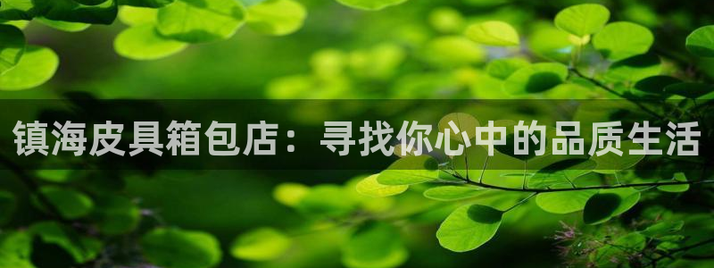 代理辉达娱乐