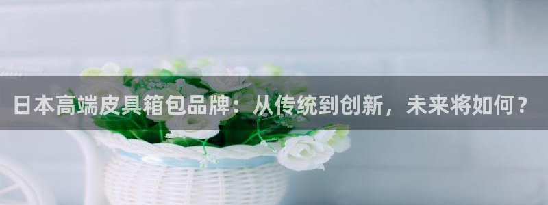 辉达娱乐游戏.直开.中国