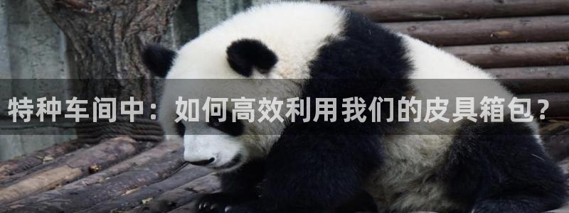 辉达娱乐加q75775