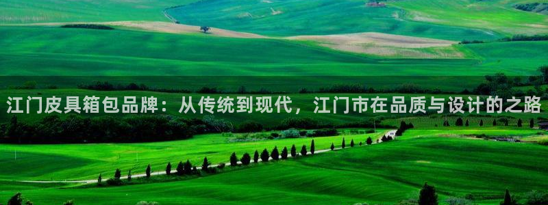 辉达娱乐丶75505