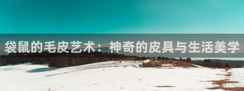 辉达娱乐网址