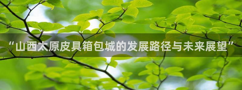 辉达娱乐加q75775稳定