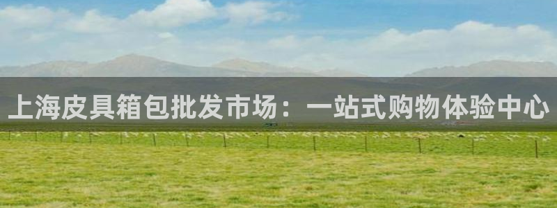 辉达娱乐五39444