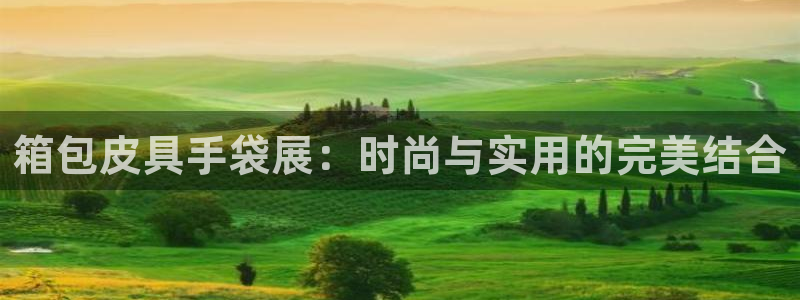 辉达娱乐最新现状