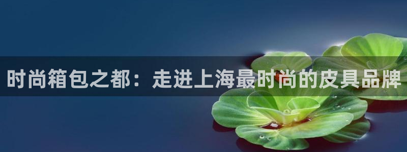 代理辉达娱乐官方网址