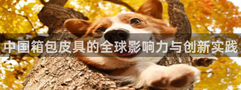 专业辉达娱乐在线游戏