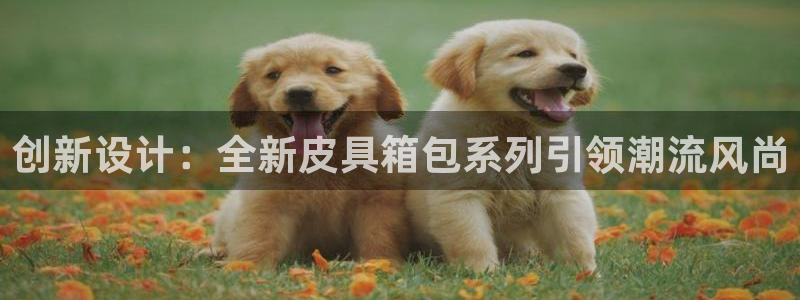辉达娱乐平台