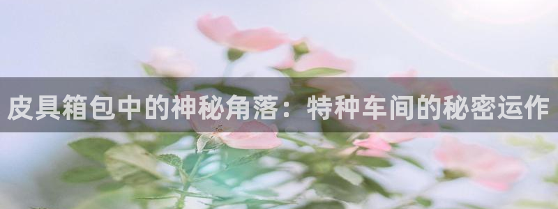 辉达娱乐加q75775稳定