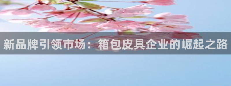 辉达娱乐丶75505