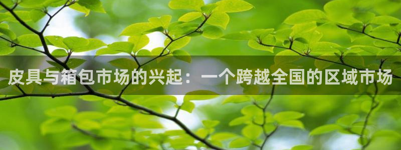 辉达娱乐招商