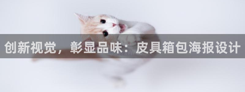 辉达娱乐计划软件