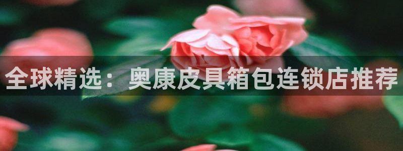 辉达娱乐平台