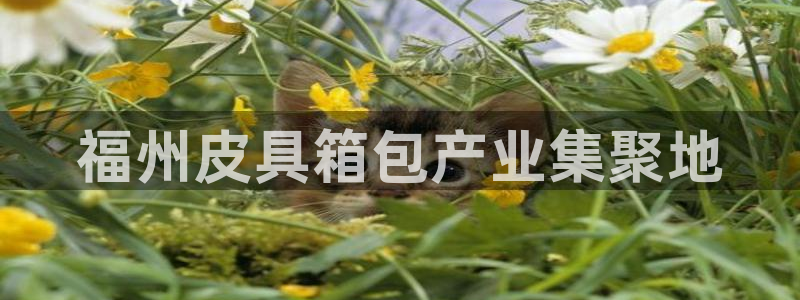 信誉辉达娱乐在线游戏