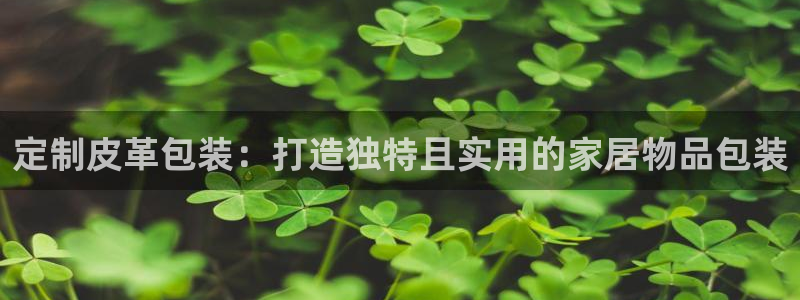 辉达娱乐新疆时时彩