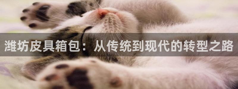 辉达娱乐ag游戏平台