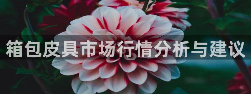 辉达娱乐计划软件
