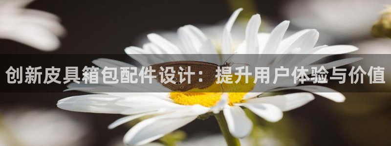 辉达娱乐123123