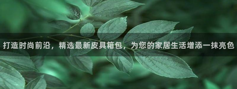辉达娱乐分红
