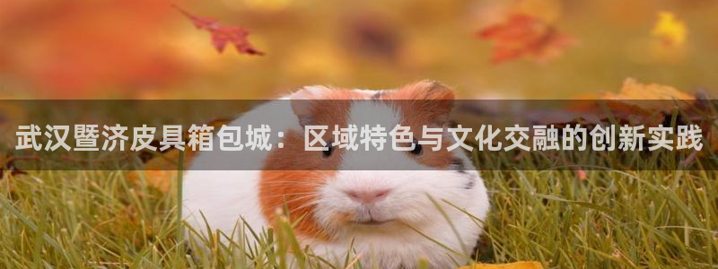 辉达娱乐己75505