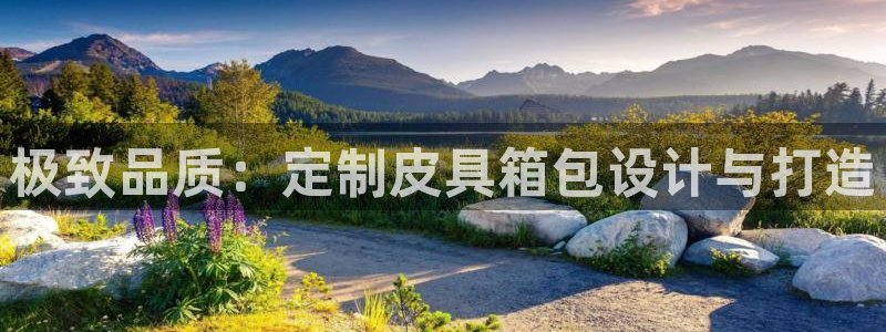 辉达娱乐公司