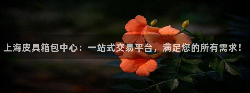 辉达娱乐排列三