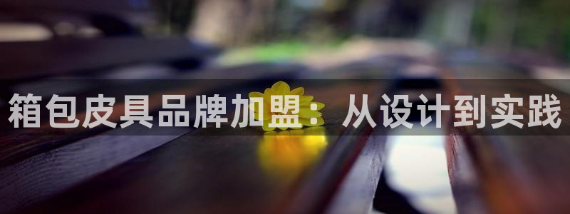 辉达怎么样