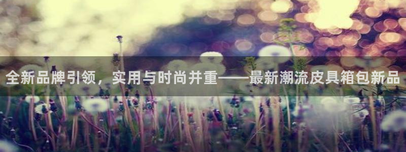辉达娱乐分红