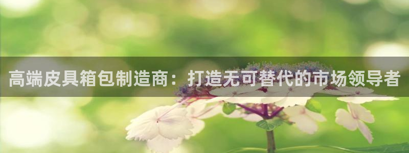 辉达娱乐属于什么档次
