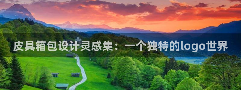 辉达娱乐公司