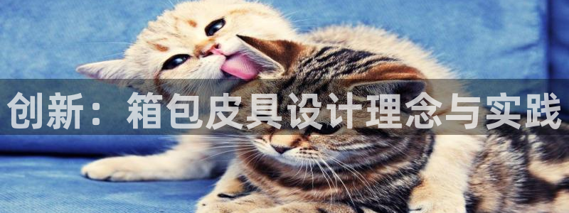 辉达娱乐123123