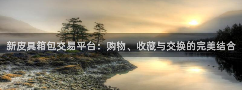 达利娱乐王辉