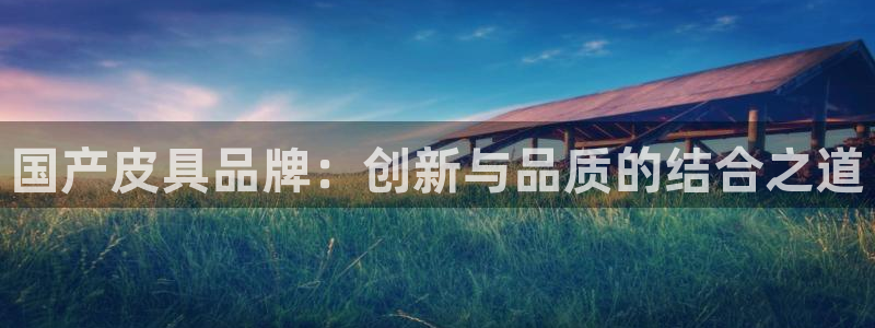 辉达娱乐计划软件