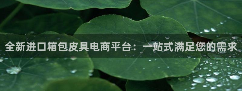 达利娱乐王辉