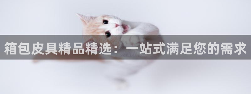 辉达娱乐计划软件