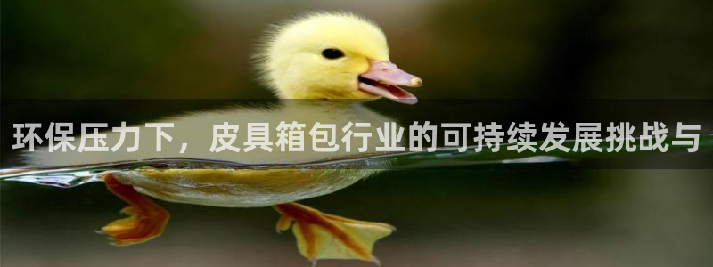 信誉辉达娱乐在线游戏