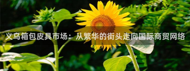 辉达娱乐最新消息新闻