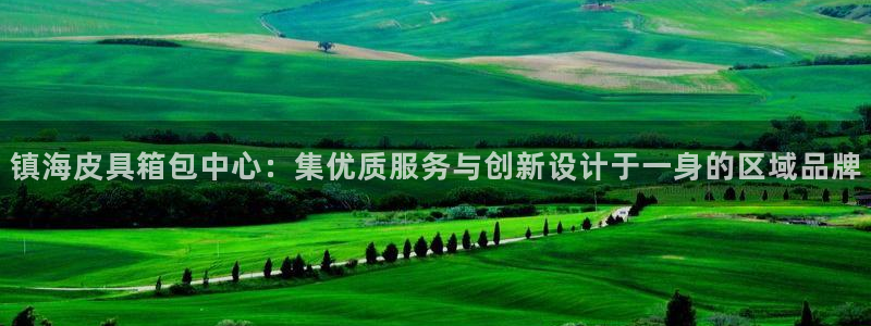 辉达平台官网网站